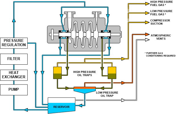 Schematic of oil seal with enhanced leakage recovery